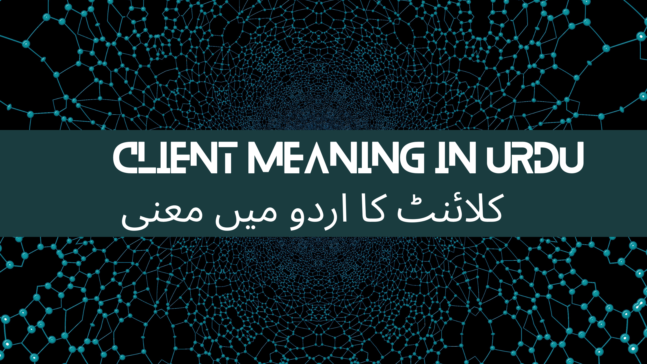 Client meaning in Urdu & Definition