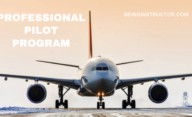 The Benefits a a Professional Pilot Program
