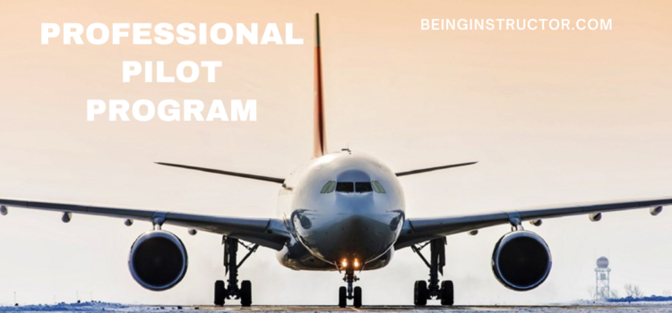 The Benefits of a Professional Pilot Program