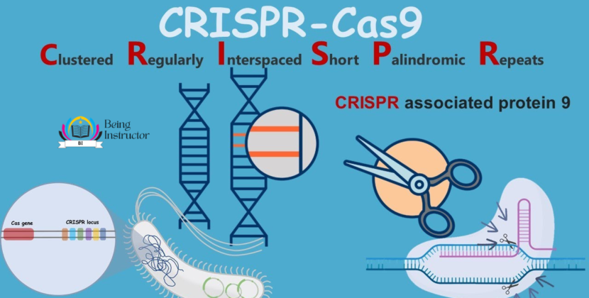 CRISPR