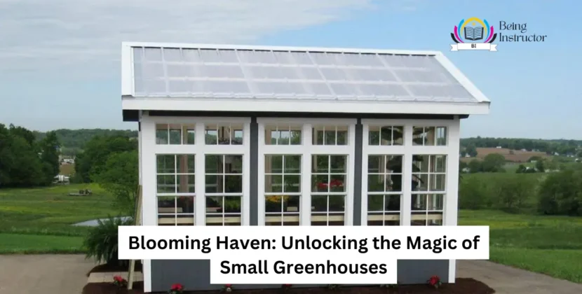 Blooming Haven: Unlocking the Magic of Small Greenhouses