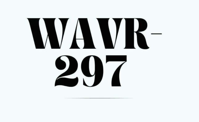 Wavr-297: The Future of VR Technology