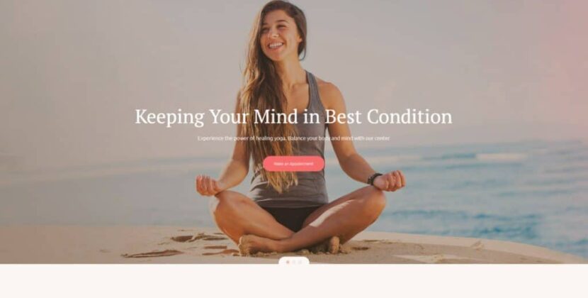 WordPress themes