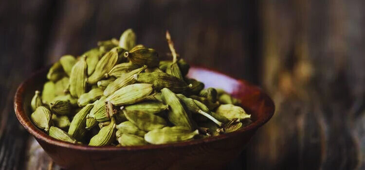 Cardamom: 7 health benefits, dosage, and negative impacts