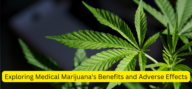 Exploring Medical Marijuana’s Benefits and Adverse Effects