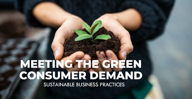 Sustainable Business Practices: Meeting the Green Consumer Demand in 2024