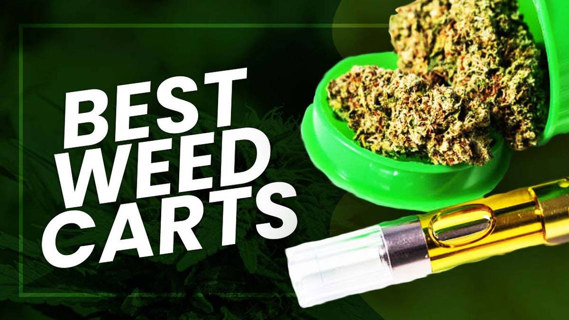 7 Tips To Buy And Store Weed Carts This Summer Season Being Instructor