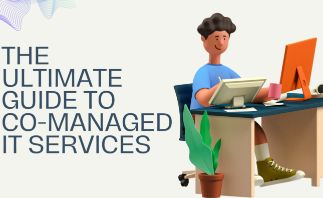 The Ultimate Guide To Co-Managed IT Services