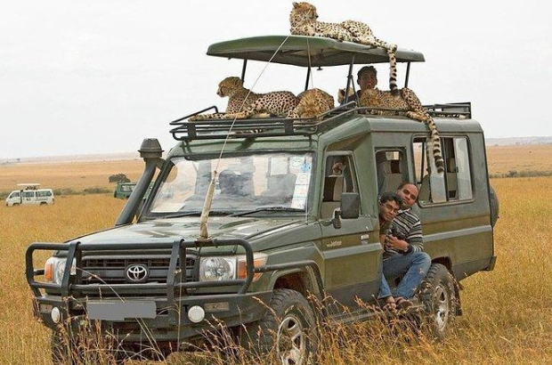Kenya Private Safaris: Exclusive Wildlife Experiences & Luxury Adventures