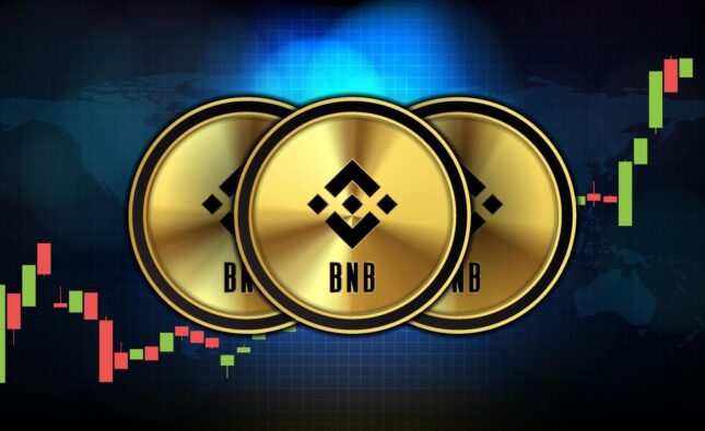 BNB Coin: Everything You Need to Know About Binance's Native Cryptocurrency