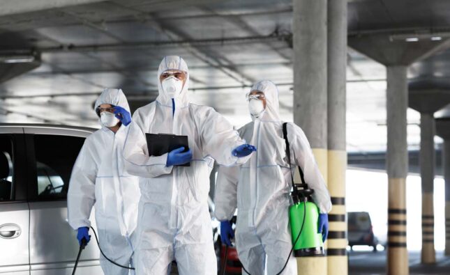 Pest Control Companies