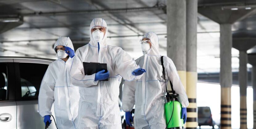 Pest Control Companies
