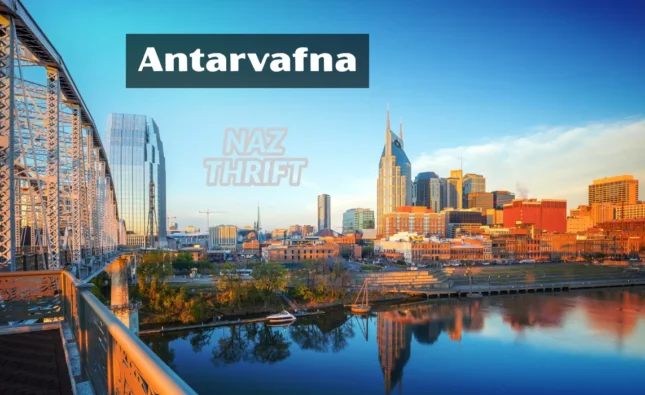 Antarvafna: The Next Big Trend or Just Another Artistic Experiment?