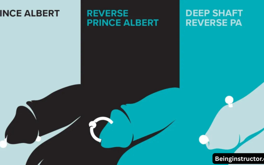 Prince Albert Piercing