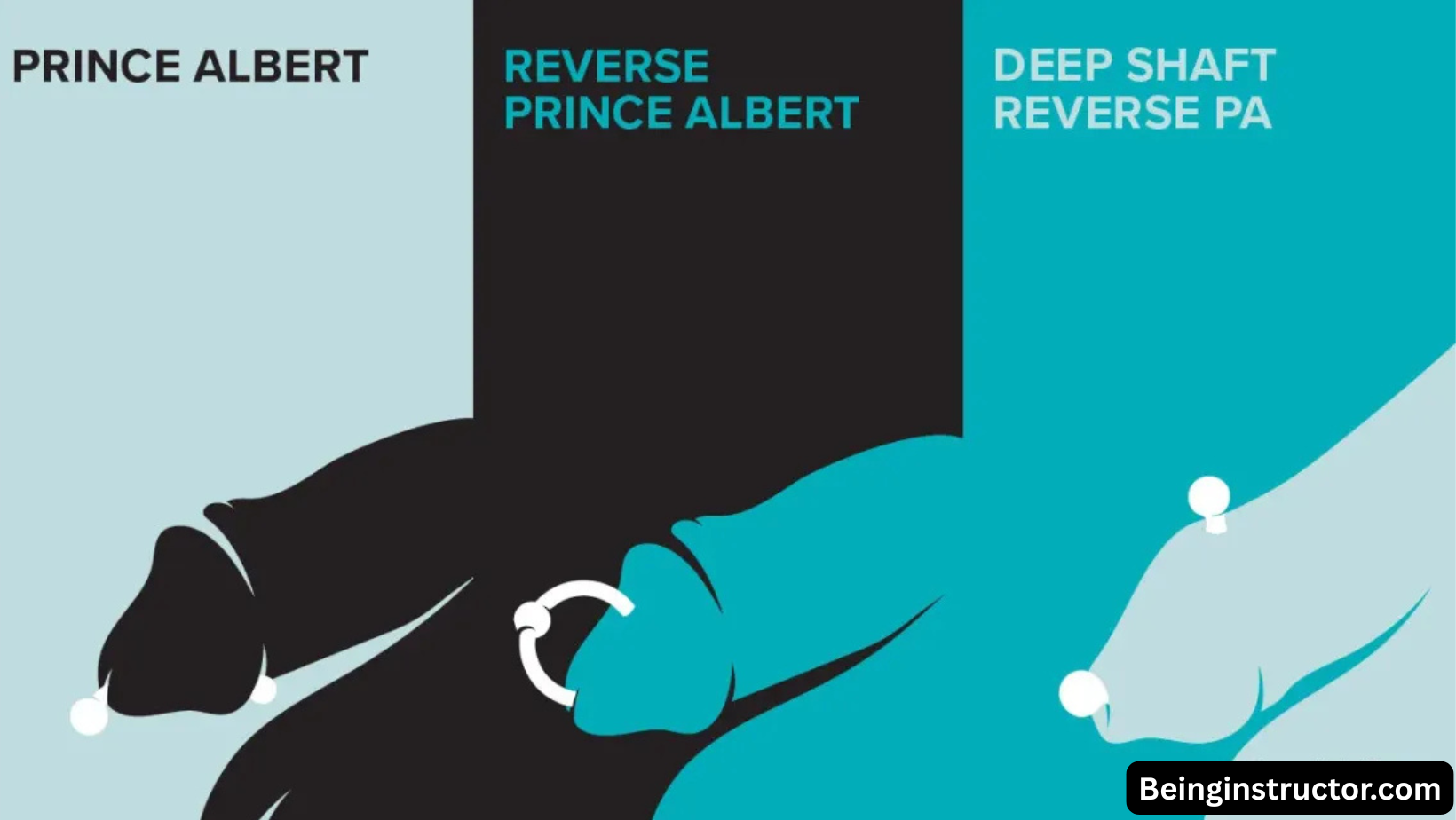 Prince Albert Piercing: Complete Guide, Benefits, Risks & Aftercare