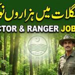 Wildlife Department Punjab Jobs 2026 – Unskilled Staff Job Listing
