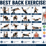 20 Best Back Exercises to Build Strength, Improve Posture, and Reduce Back Pain