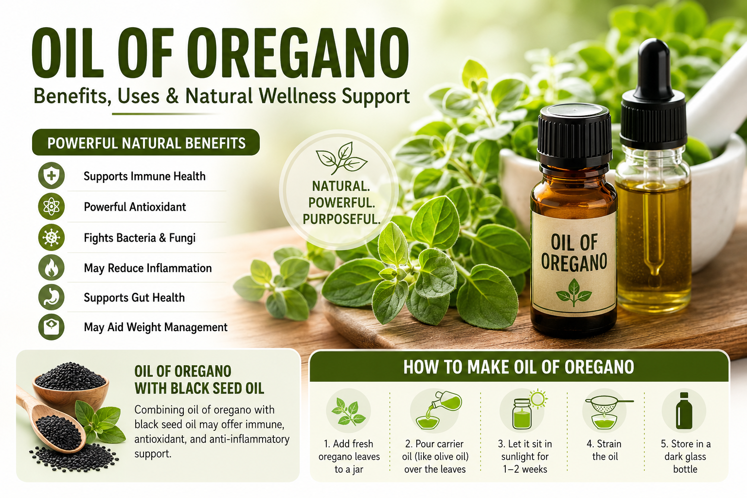 Oil of Oregano: Benefits, Uses, and How to Make It